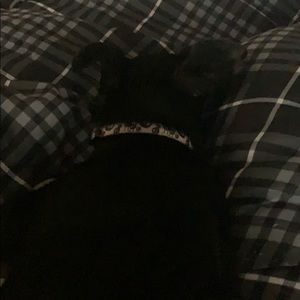 Meet your Posher, Jimmy